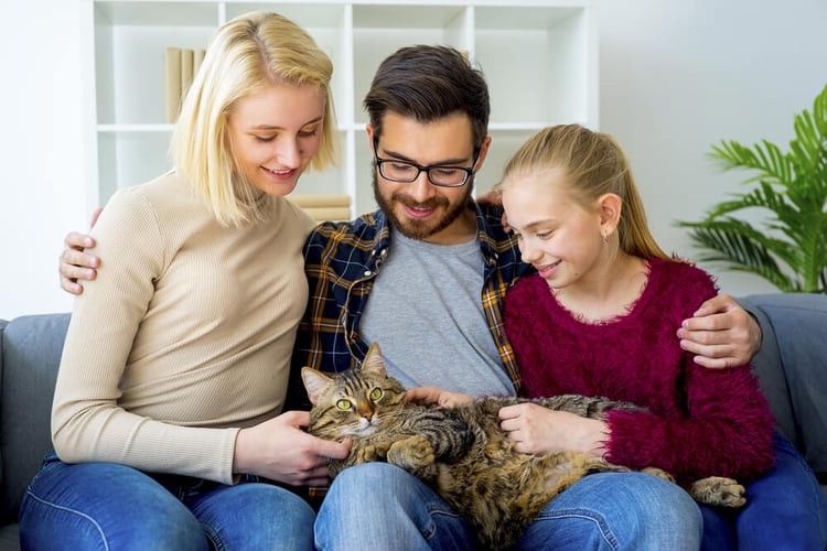 happy cat on a family's lap
