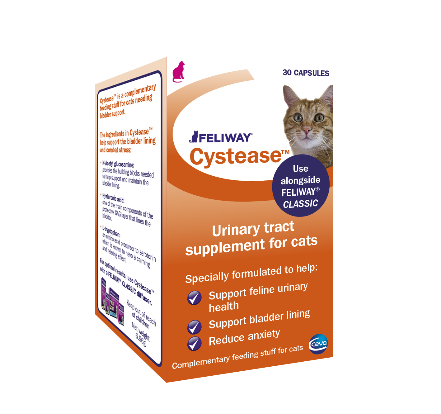 feline cystitis