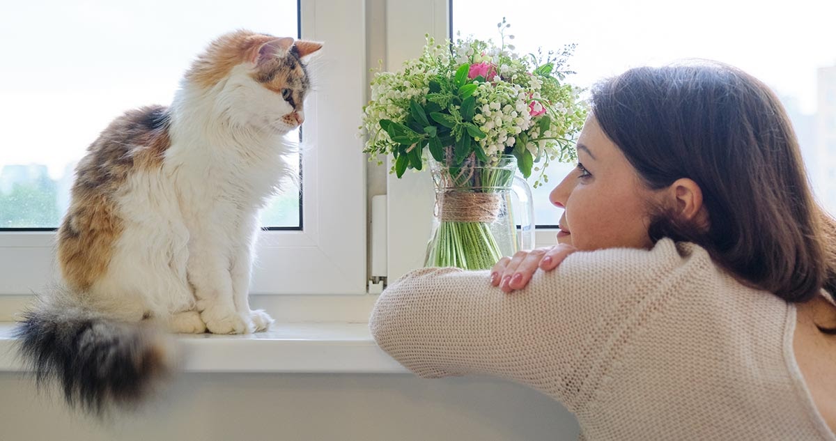 cat sat on window sill looking at lady owner