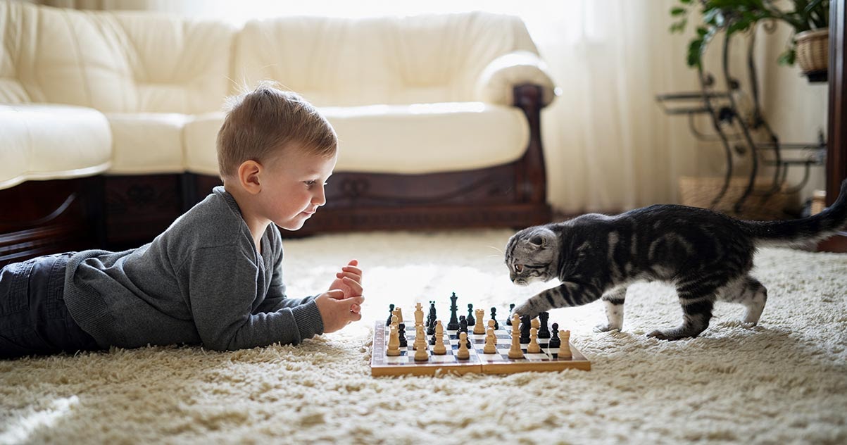 small boy playing chess with a kitten