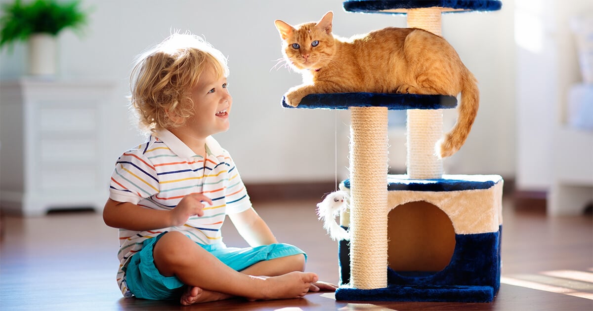 young child watching cat sat on a scratching post