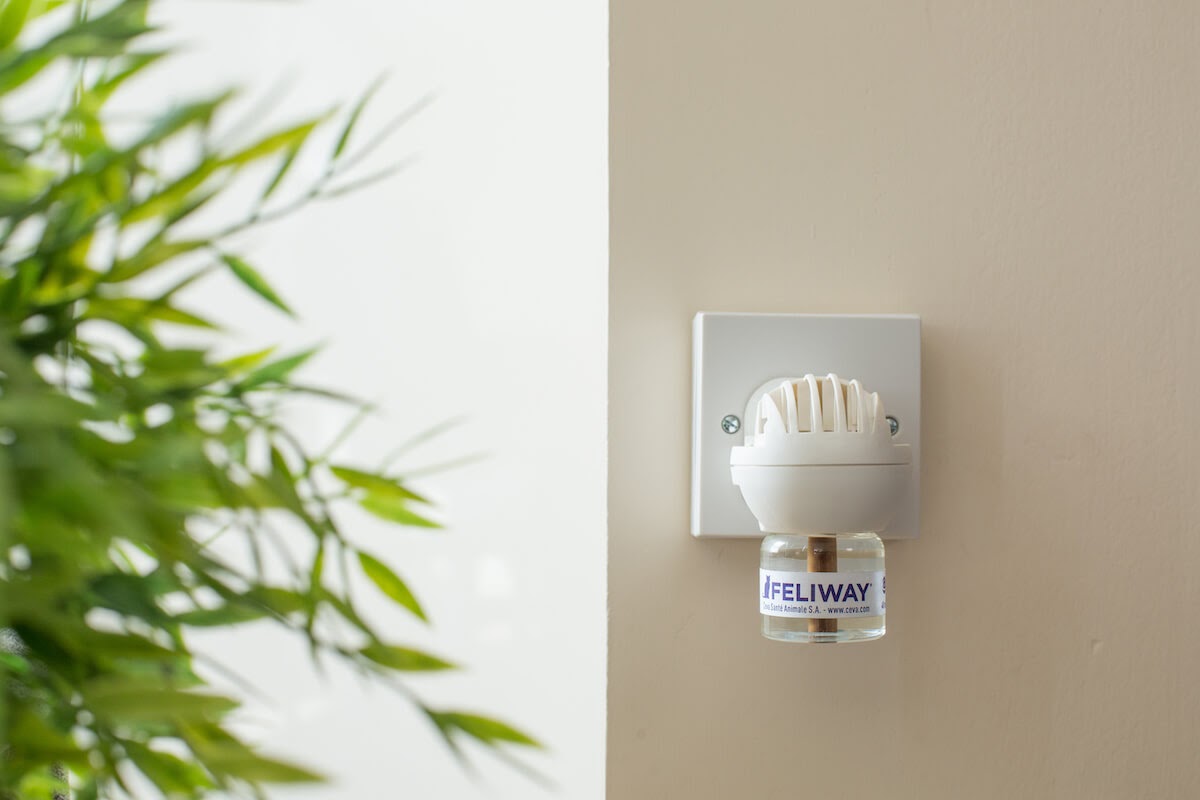 Feliway Difuser plugged on a wall