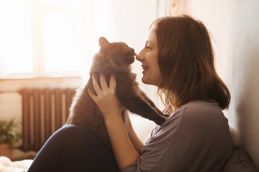 happy lady with grey cat licking her nose